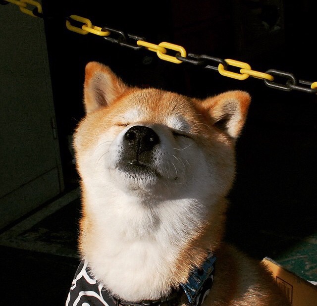 开云综合服务-史上最燃的季后赛夜战，哪一场让你振奋？，季后赛战果